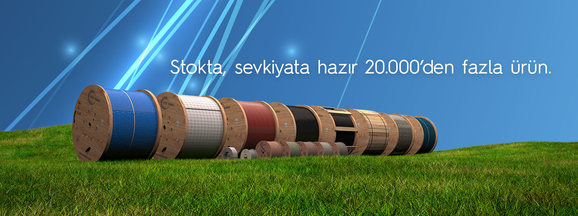 image-991504